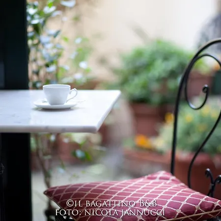 Bed and Breakfast Il Bagattino Φεράρα
