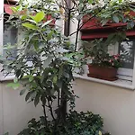 Bed & Breakfast Il Bagattino