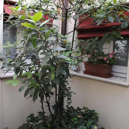 فندق مبيت وإفطار Il Bagattino