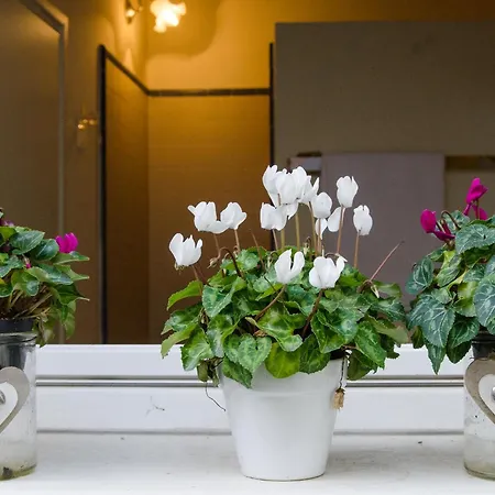 Bed & Breakfast Il Bagattino 4*