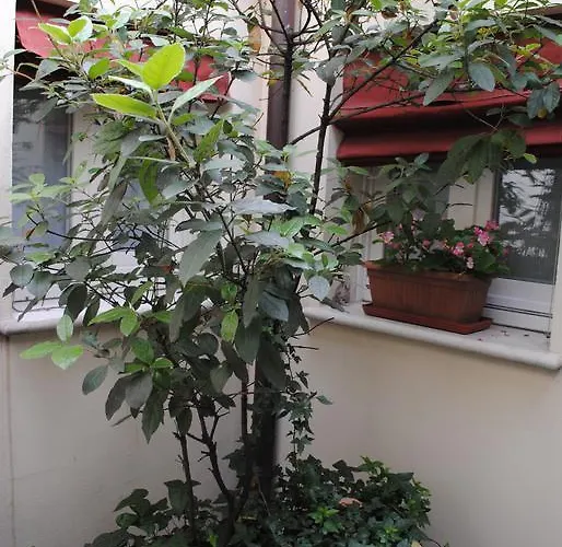 Frühstückspension Il Bagattino