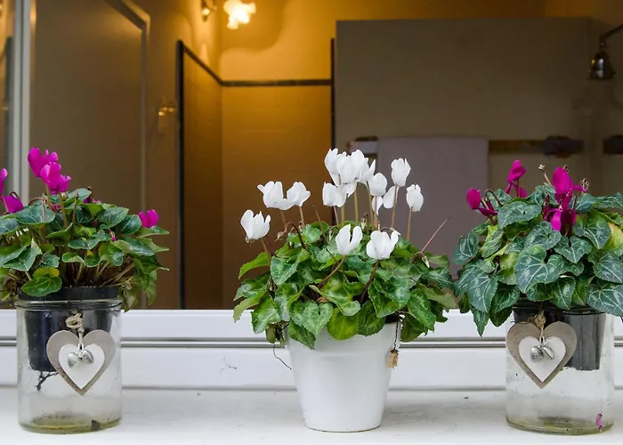 Nocleg ze śniadaniem Il Bagattino 4*